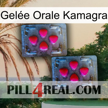 Gelée Orale Kamagra 14